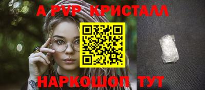 МДПВ Рыбинск
