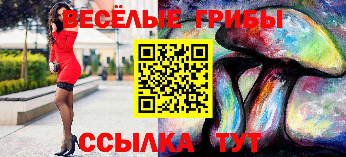 Псилоцибиновые грибы MAGIC MUSHROOMS Сафоново