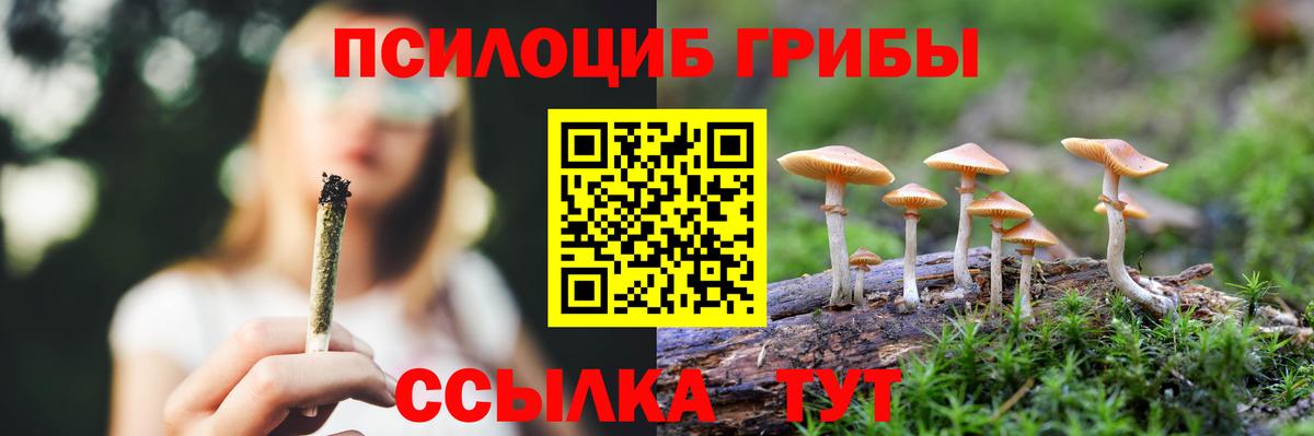 Галлюциногенные грибы Psilocybe  Галлюциногенные грибы мицелий  Сафоново 