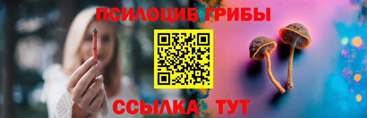 Галлюциногенные грибы прущие грибы  Галлюциногенные грибы Cubensis  Вход с VPN  Сафоново 